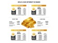 finacc-gold-loan-software-pawn-brokering-software-small-2
