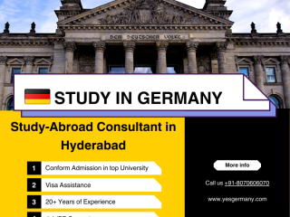 professional-guidance-for-overseas-studies-vizag