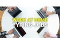 work-from-home-data-entry-opportunity-small-0