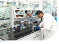 drug-discovery-and-development-services-pre-clinical-dmpk-services-small-0