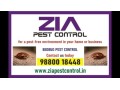 zia-pest-control-bed-bugs-control-off-upto-50-residence-call-now-297-small-0