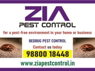 zia-pest-control-bed-bugs-control-off-upto-50-residence-call-now-297