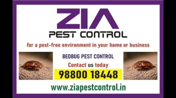 zia-pest-control-bed-bugs-control-off-upto-50-residence-call-now-297-big-0