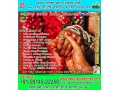 love-guru-baba-nazakat-khan-small-2