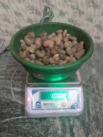 punjab-raw-cashew-nuts-rcn-wholesaler-pradi-cashew-nuts-7550251115-big-0