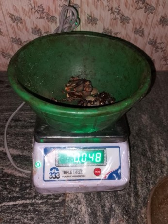 punjab-raw-cashew-nuts-rcn-wholesaler-pradi-cashew-nuts-7550251115-big-2