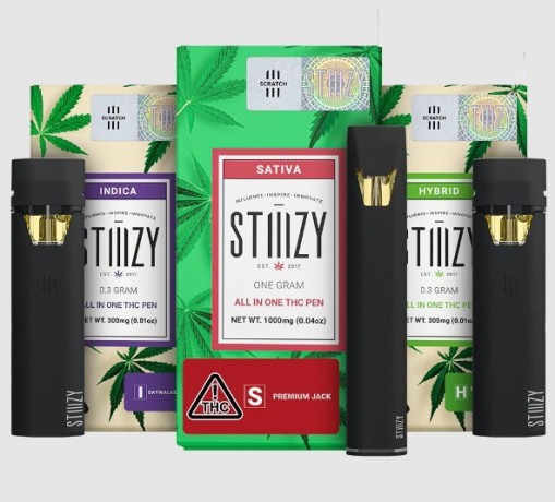 thc-stiiizy-all-in-one-thc-vape-pen-premium-disposable-cannabis-in-islamabad-big-0