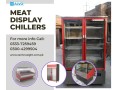 alvo-meat-shop-equipment-meat-display-chillersfridgerefrigeratormeat-cabinetcarcass-small-1