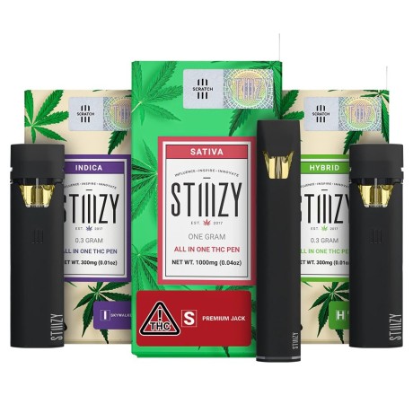 stiiizy-all-in-one-1g-thc-pen-ready-to-use-vape-in-islamabad-big-0