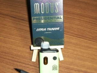 modus-presidential-blend-disposable-5g-karachi