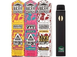 tre-house-thc-vape-pen-in-karachi