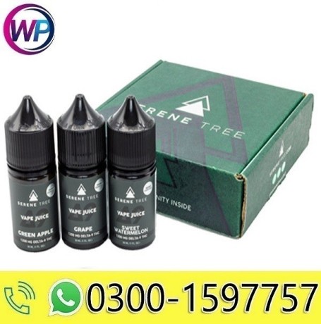 serene-tree-delta-9-thc-grape-vape-juice-1200mg-in-pakistan-03001597757-big-0