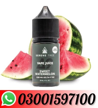 delta-9-thc-sweet-watermelon-vape-juice-1200mg-in-sialkot-03001597100-big-0