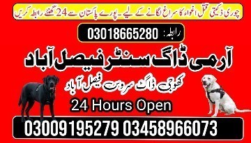 army-dog-center-faisalabad-03018665280-big-1