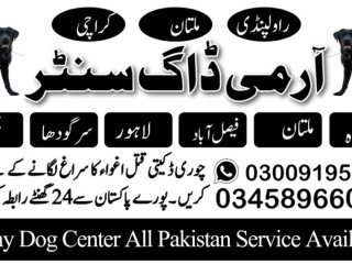 army-dog-center-mandi-bahauddin-03458966073-khoji-dogs