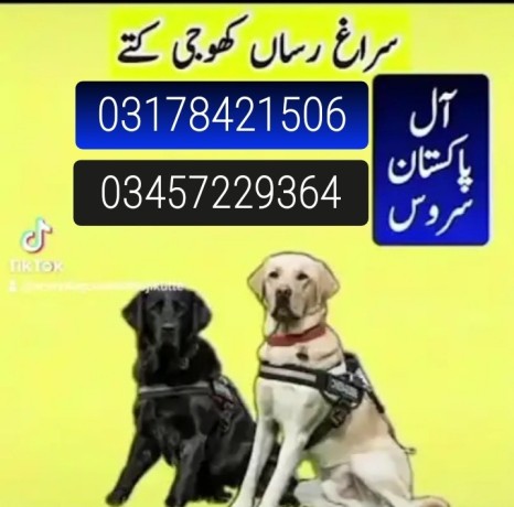 army-dog-center-punjab-03457229364-big-0