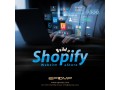 business-website-development-small-2