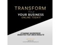 business-website-development-small-4