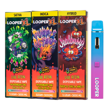 thc-looper-live-badder-disposable-3g-in-lahore-big-0