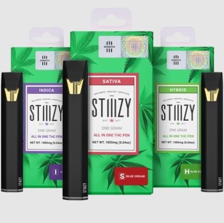 thc-stiiizy-all-in-one-1g-thc-pen-ready-to-use-vape-in-lahore-big-0