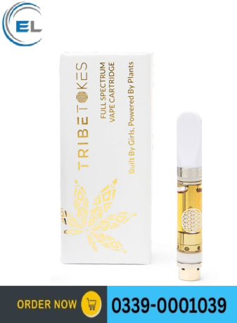 cannactiva-cbd-vape-kit-in-pakistan-03390001039-big-0