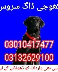 army-dog-center-03010417477-khoji-dog-big-0