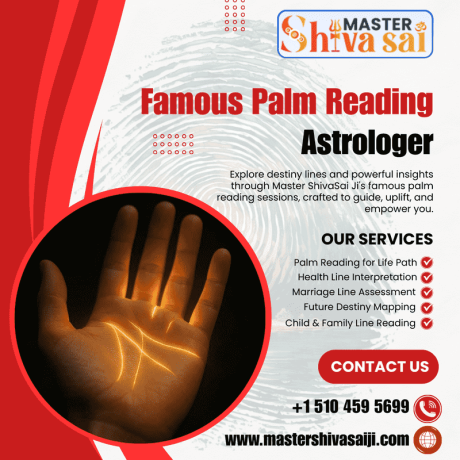 mater-shiva-sai-ji-famous-palm-reading-astrologer-in-california-big-0