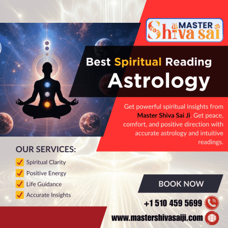 famous-astrologer-in-california-best-spiritual-reading-in-california-big-0