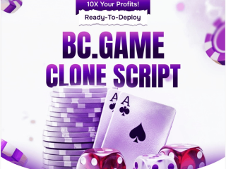 affordable-bcgame-clone-script-with-free-demo-for-worldwide-users