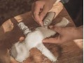 trusted-lost-love-spells-to-get-your-ex-back-proven-spiritual-powers27672740459-small-0