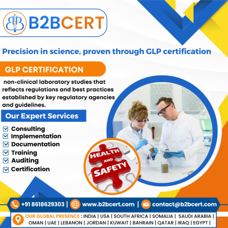 glp-consultants-services-in-miami-big-0