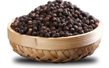 Black Pepper Whole From Kerala, India