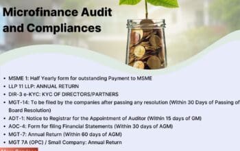 Microfinance Audit and Compliance