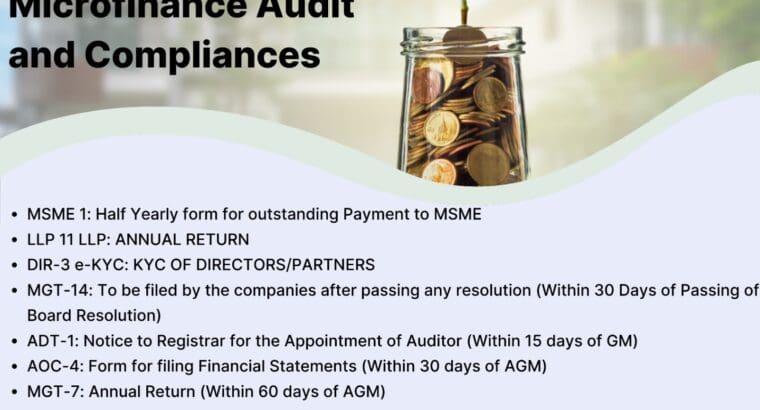 Microfinance Audit and Compliance