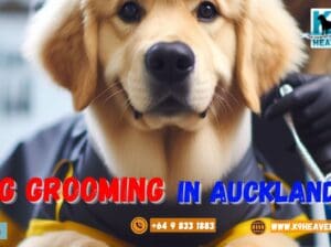 Dog grooming Auckland