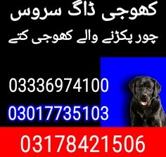 Army dog center khushab 03017735103