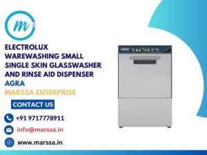 Electrolux Warewashing Small Single Skin Glasswasher and rinse aid dispenser Agra