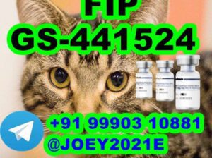 GS-441524 cat Fip Feline Infectious Peritonitis