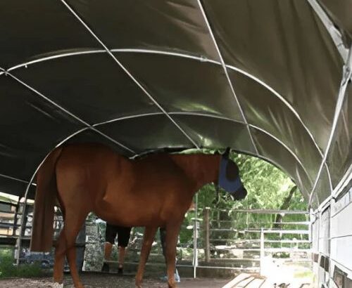 Top-Quality Agricultural Buildings: Storage, Barns, & Livestock Shelters