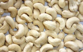 100% Cashew nut